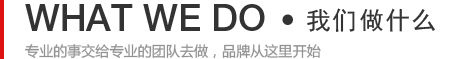 我们能做什么-专业的事交给专业的团队去做，品牌从这里开始