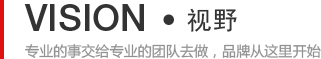 视野